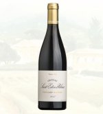 vieille vigne 1.JPG